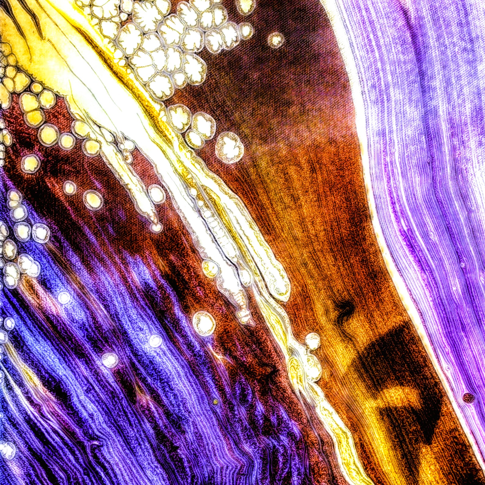 Crystals in Rebellion - pour painting by Chris Broussard